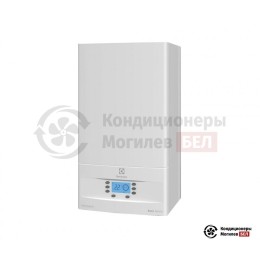 Настенный газовый котел Electrolux GCB 24 Basic Space Duo i